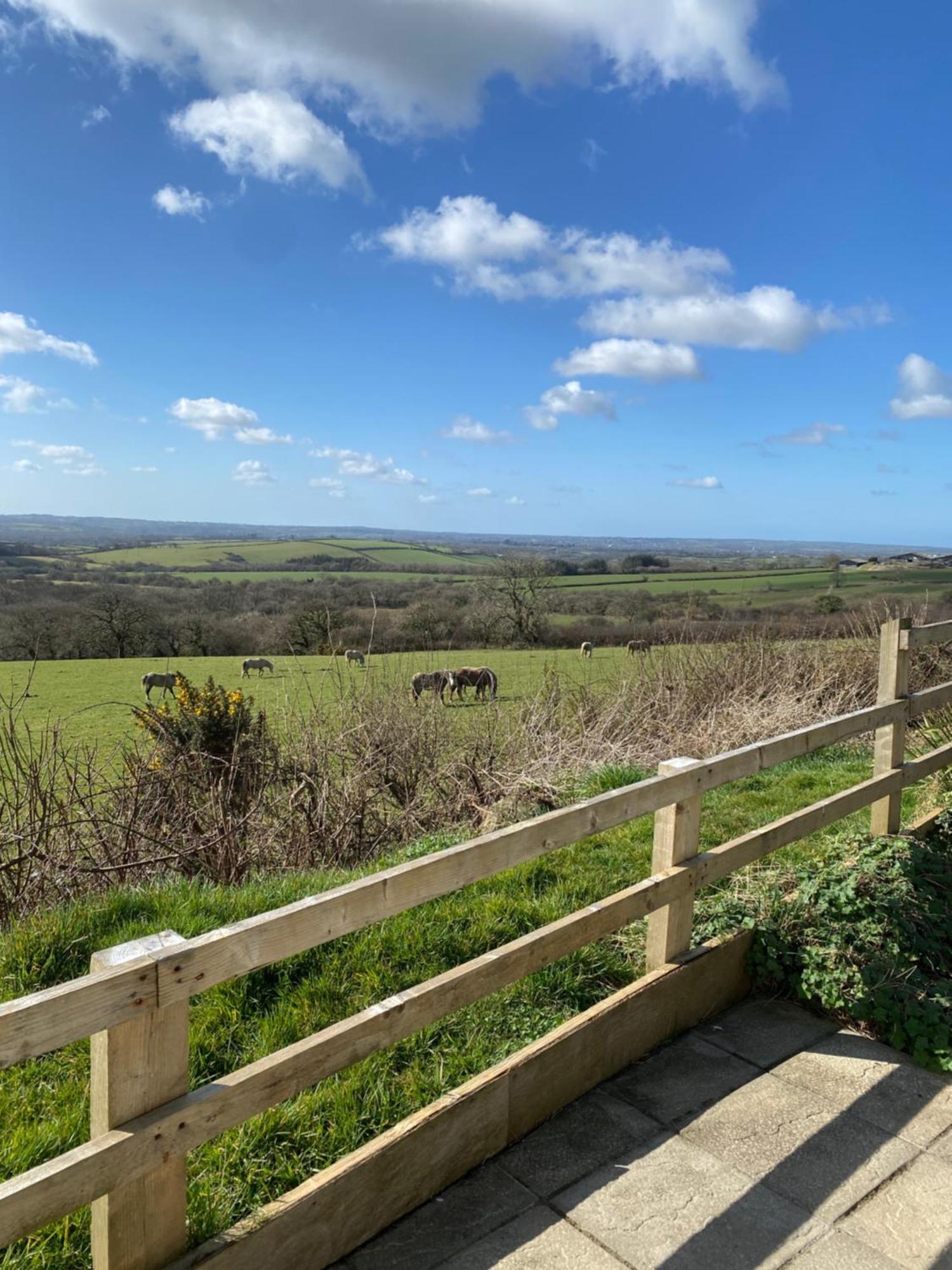 Meadow View Βίλα Haverfordwest Εξωτερικό φωτογραφία